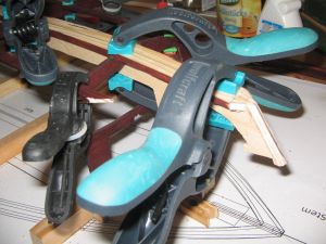 Taubler Kiel bug.jpg